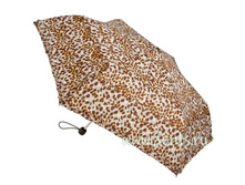 L553-2225 Cheetah ���� 750�.jpg