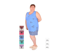 �������� � ������� ������� �������, 400 ���.