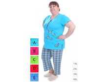 �������� � ����� ������� ������ - 550 �