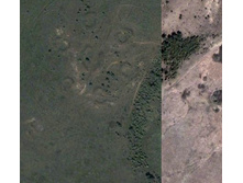 ��������� 1