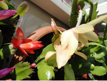 ��������� 2.JPG