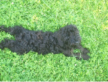 ����� 049.jpg