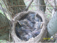 ����� 206.jpg