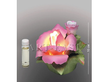 �����-����������. ���� 780 ���.