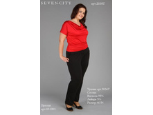 2038�, 400 ���.