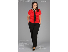 ������ 2038�, 400 ���., ����� 031201 - 770 ���.