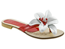 ������ �������.jpg