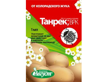 ������ (1 ��) 5,5 ���..jpeg