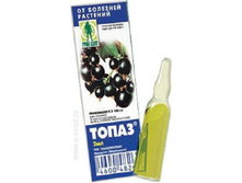 ����� ���. 13,15 ���..jpg