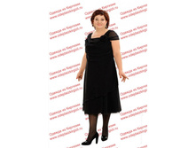 sab-kameliya (chernyj)  ���� 1150,00