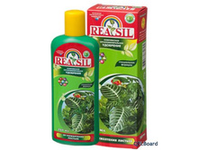 ��������� �-������� KOY REASIL 0,25� �� �9 ��� 00036928 66,90���.