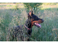 ����� 039.jpg