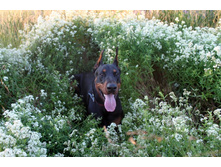 ����� 056.jpg