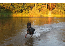 ����� 074.jpg