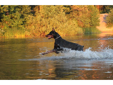 ����� 122.jpg