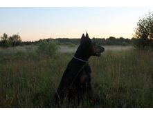 ����� 128.jpg