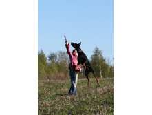 ������� ����� 144.jpg