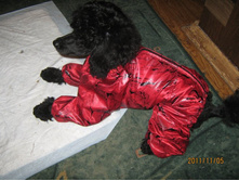 ���� � ����� 095.jpg