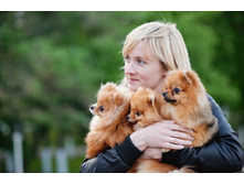 ��� ������ ��������� � ������.