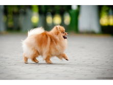 ��� ������ �������� ����