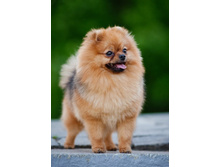 ������� ��� ��� ������ �����