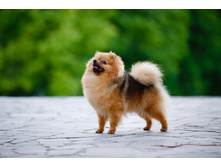 ������� ��� ��� ������ �����