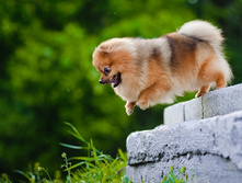 ������� ��� ��� ������ �����