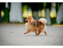 ������� ��� ��� ������ �����