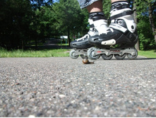 �i��� 06 2012  (110).JPG