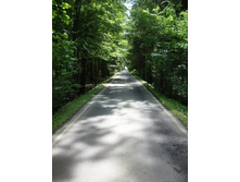 �i��� 06 2012  (405).JPG