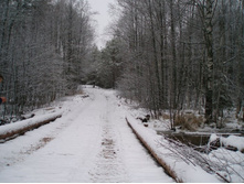 ������ ���� ����� ��������-�������