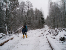 ������ ����������, ��������� ��� ����������