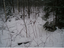 �������� �����, ������������� �� �����