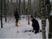 � ����� - ���� � �����