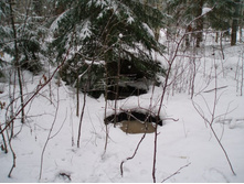 � ���... ��������