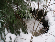 � ����� ������� �������� ������