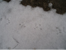 6-����� ��������)))