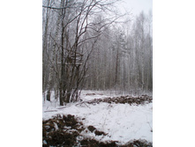 ��������� �������