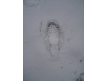 �������))