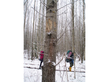 ���������������� ����... (�� ������)