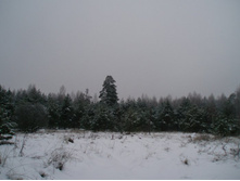 ����� �� ������ ����