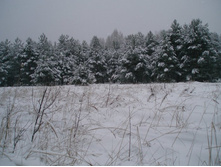 ����. ����� ����