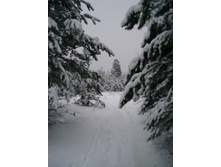 � ��� ������� 2-��� ���))