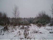 ������� �� ����� �.�������