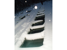 ��������, ����� ���. �����...