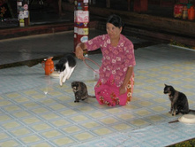 ��������� ��������� �����