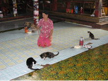 ��������� ��������� �����