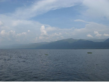 ����� ����