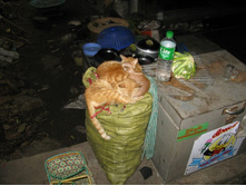 ���� � �����