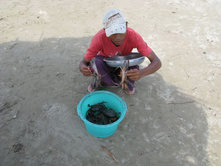 ������������